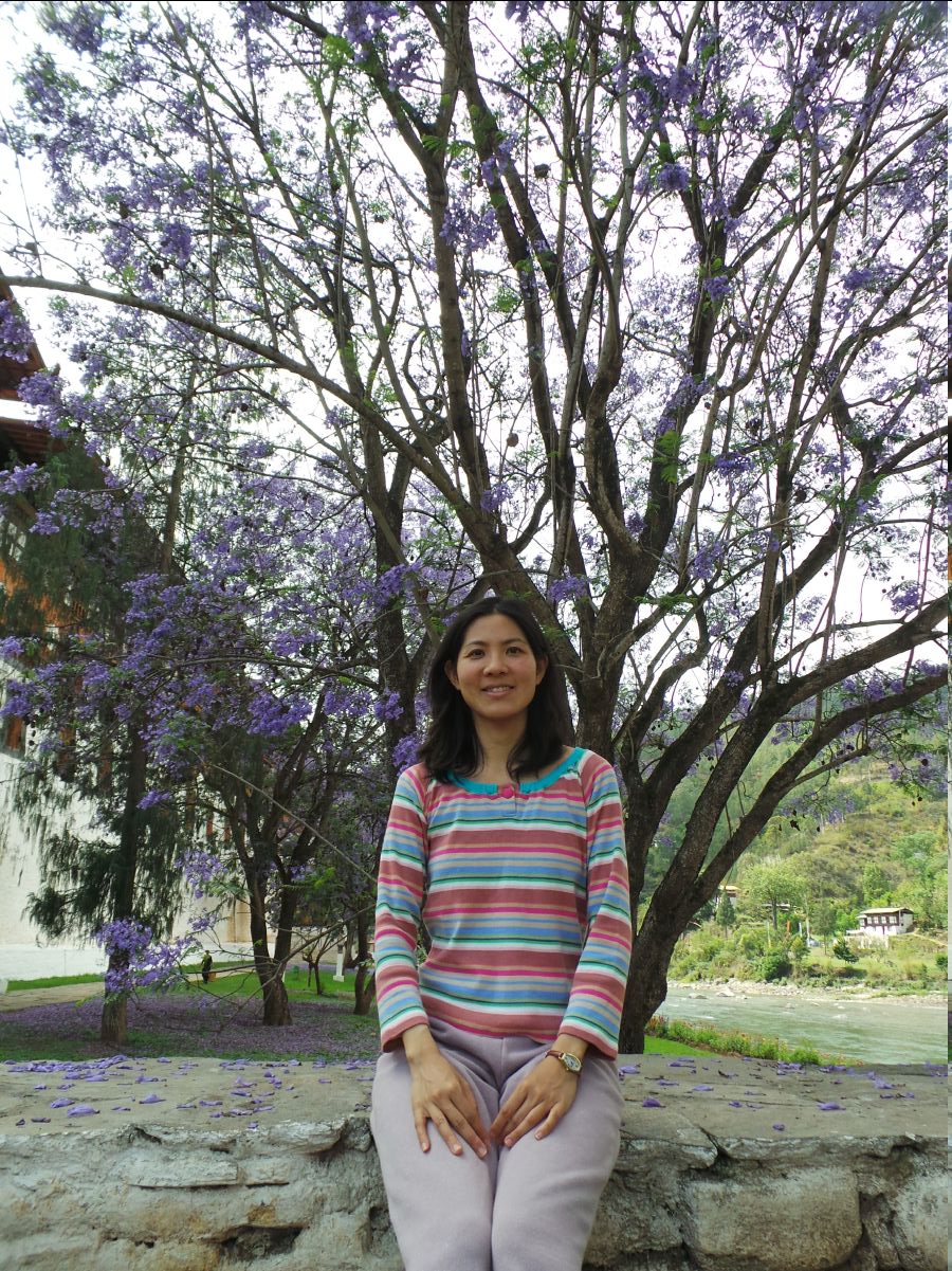 Punakha Dzong38
